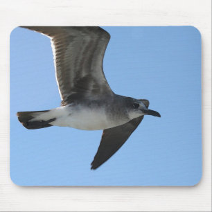 MP 6482 Gull 1 WC Muismat