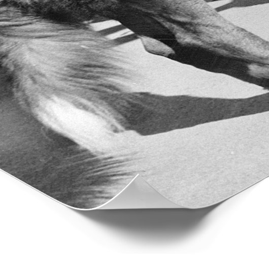 MP Mascot: 1942 Poster (Hoek)