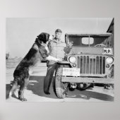 MP Mascot: 1942 Poster (Voorkant)