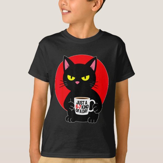 Mpy 6 7 Meme Cat Funny Gen Alpha Six Seven Cat Lov T-shirt (Voorkant)