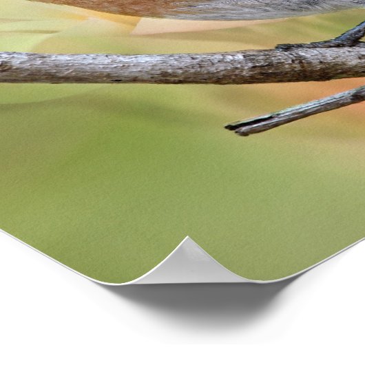 Mr Beauful Bluebird Poster (Hoek)