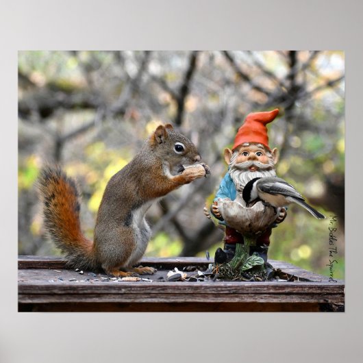 Mr Bickles het Eekhoorn poster (Voorkant)