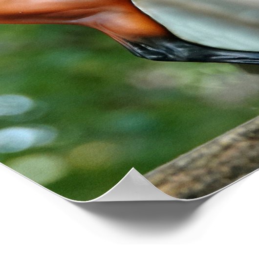 Mr Bickles Het Eekhoorn poster met Empres (Hoek)