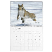 Mr. Bickles The Squirrel 2026 calendar Kalender (Jan 2026)