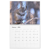 Mr. Bickles The Squirrel 2026 calendar large Kalender (Feb 2026)