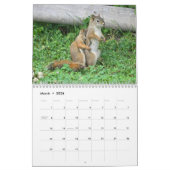 Mr. Bickles The Squirrel - medium calendar two pag Kalender (Mar 2026)
