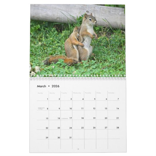Mr. Bickles The Squirrel - medium calendar two pag Kalender (Mar 2026)