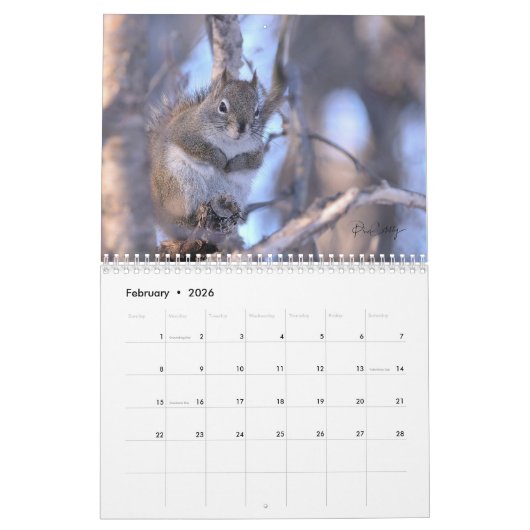 Mr. Bickles The Squirrel - medium calendar two pag Kalender (Feb 2026)