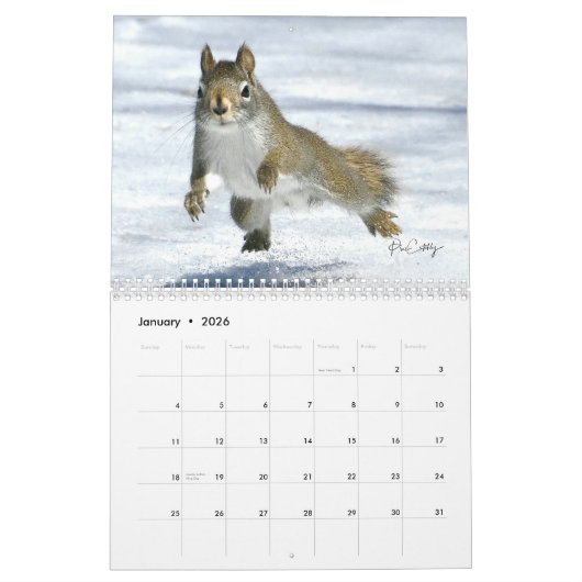 Mr. Bickles The Squirrel - medium calendar two pag Kalender (Jan 2026)