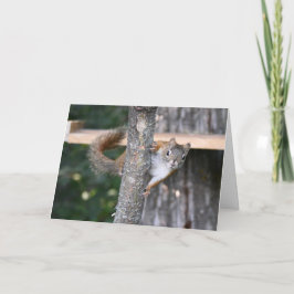 Mr Bickles wenskaart Kaart