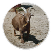 Mr. Bill Keramische Knop (Voorkant)