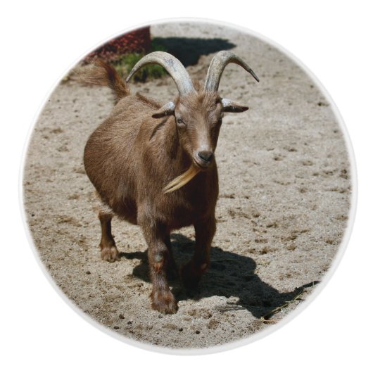 Mr. Bill Keramische Knop (Voorkant)