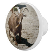 Mr. Bill Keramische Knop (Rechts)