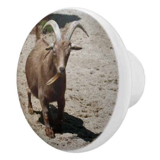 Mr. Bill Keramische Knop (Rechts)