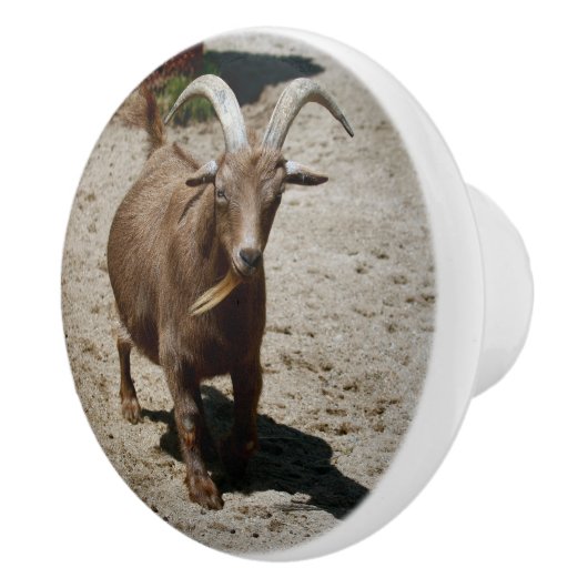 Mr. Bill Keramische Knop (Rechts)