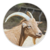 Mr. Bill Keramische Knop (Voorkant)