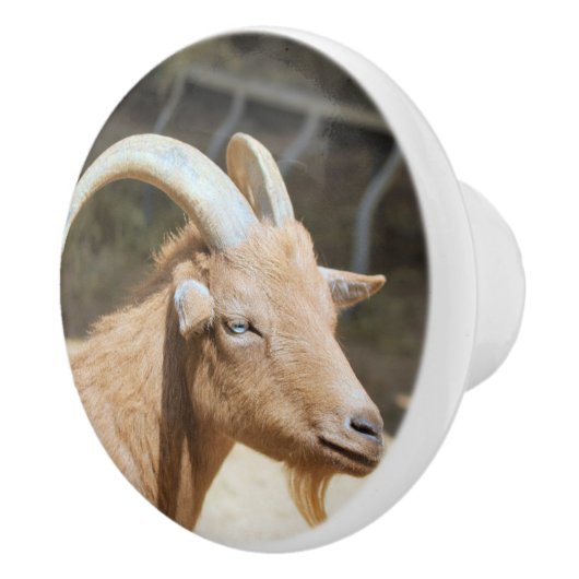 Mr. Bill Keramische Knop (Rechts)