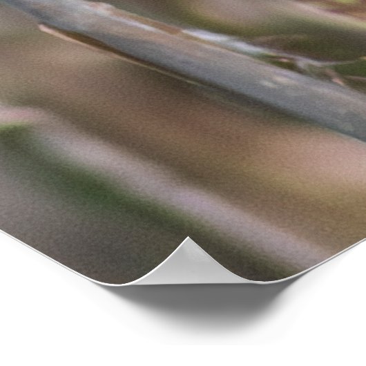 Mr. Blackbird Poster (Hoek)