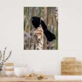 Mr. Blackbird Poster (Keuken)