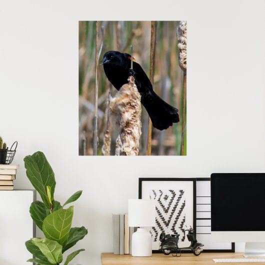 Mr. Blackbird Poster (Thuiskantoor)