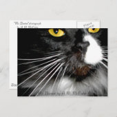 "Mr.Bootee" Briefkaart (Voorkant / Achterkant)