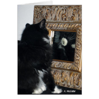 Mr Bootee, door het kijkglas