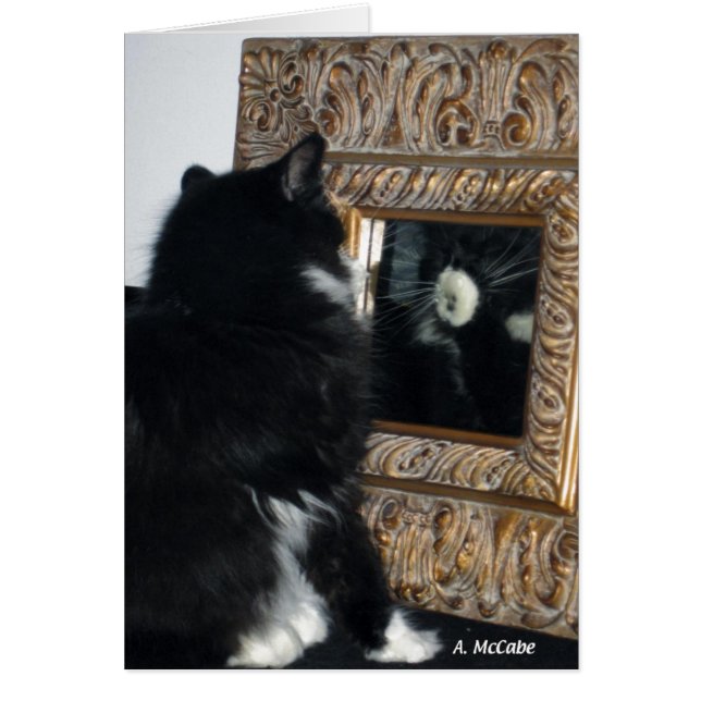 Mr Bootee, door het kijkglas (Voorkant)