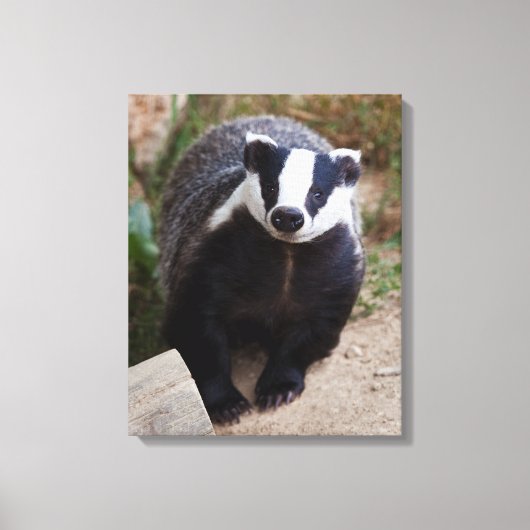 Mr Brock Ingepakt Canvas Afdruk (Voorkant)
