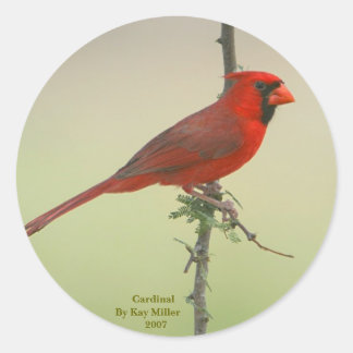 Mr Cardinal Ronde Sticker