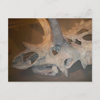 Mr. dino #2 briefkaart