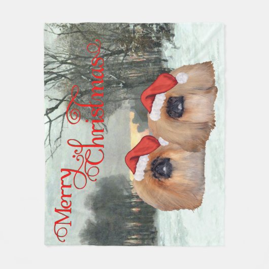 Mr en Mrs Santa Claus Fleece Deken (Voorkant)