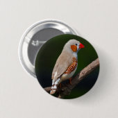 Mr Finch Badge Ronde Button 5,7 Cm (Voorkant /achterkant)