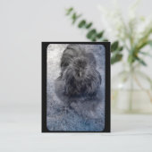 Mr Fluffy Silkie Rooster Briefkaart (Staand voorkant)