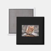 Mr Fresh Cat Meme Side Eye Cat Magneet (Voorkant / Achterkant)