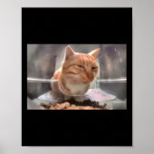 Mr Fresh Cat Meme Side Eye Cat Poster (Voorkant)