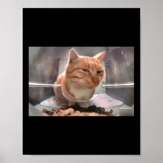 Mr Fresh Cat Meme Side Eye Cat Poster (Voorkant)