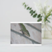 Mr Green Lizard Briefkaart (Staand voorkant)