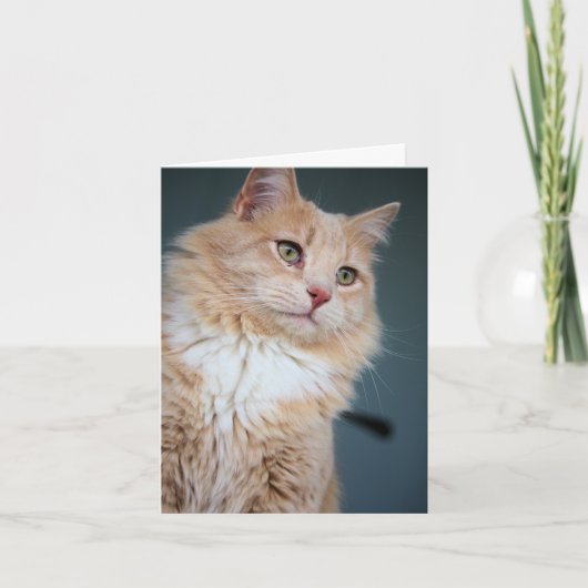 Mr, Handsome Kaart (Voorkant)