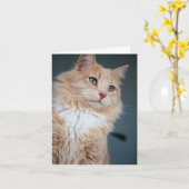 Mr, Handsome Kaart (Gele Bloem)