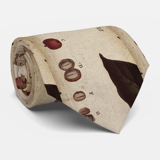 Mr. Hooton Coffee Botanical Stropdas (Opgerold)