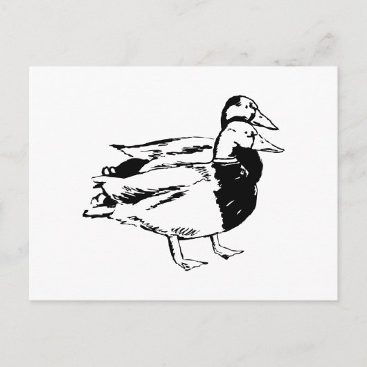 Mr & Mrs Duck Briefkaart (Voorkant)