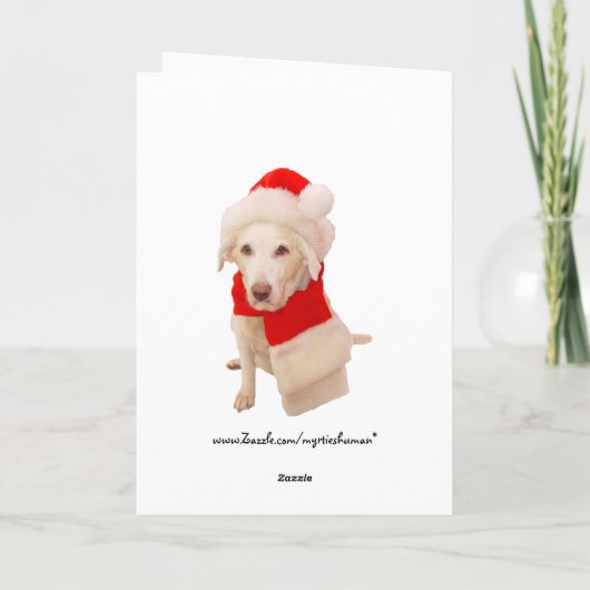 Mr & Mrs Kat Claws Feestdagen Kaart (Achterkant)