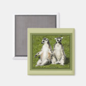 Mr & Mrs Lemur Magneet (Voorkant / Achterkant)