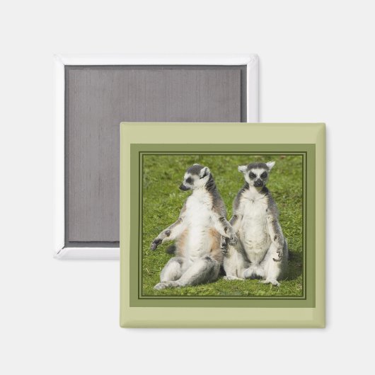 Mr & Mrs Lemur Magneet (Voorkant / Achterkant)