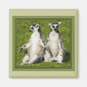 Mr & Mrs Lemur Magneet (Voorkant)