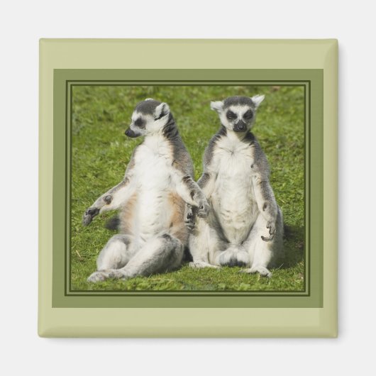 Mr & Mrs Lemur Magneet (Voorkant)