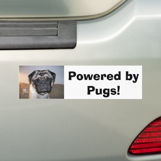 Mr. nibbles, Powered by Pugs! Bumpersticker (Op auto)