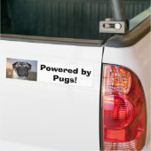 Mr. nibbles, Powered by Pugs! Bumpersticker (Op Truck)