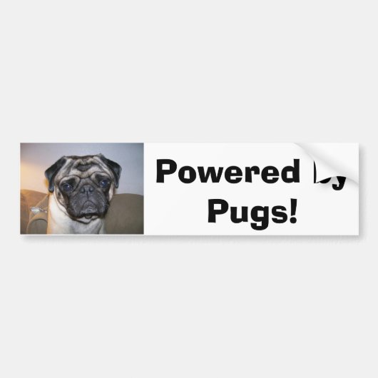 Mr. nibbles, Powered by Pugs! Bumpersticker (Voorkant)