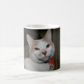 Mr Peabody. Koffiemok (Center)